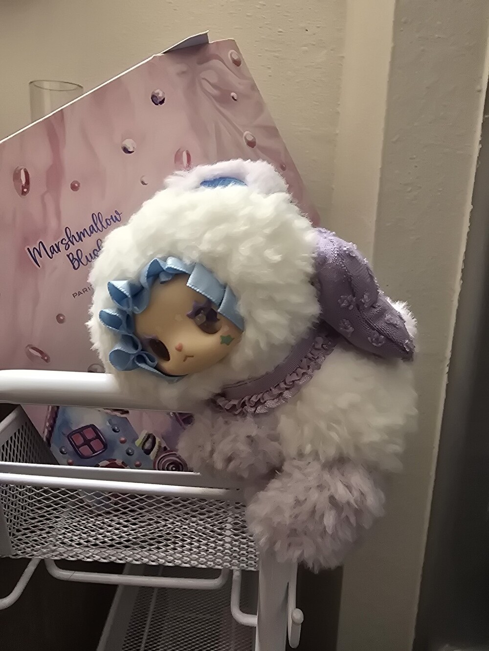 Baby Three Little Bear Adoption Guide